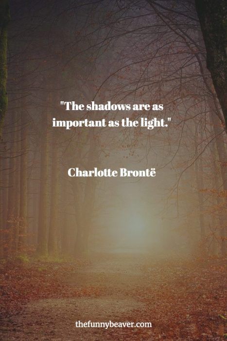 inspiring-quotes-shadows-light Shadow Quotes Beauty, Light And Shadow Quotes, Atmosphere Quotes, Shadow Quotes, Rare Quote, Brave Quotes, Witty Instagram Captions, Light Quotes, Dark Times