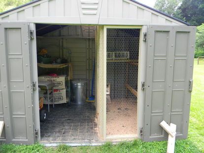 shed converted to chicken coop, homesteading, outdoor living, pets animals Cheap Chicken Coops, Urban Chicken Farming, Portable Chicken Coop, Chicken Coup, Urban Chickens, Coop Ideas, Coop Design, Best Chicken Coop, Chicken Coop Designs