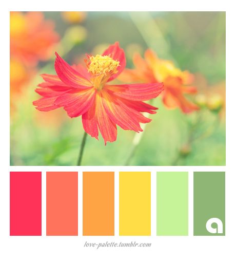 Flower Palette Color, Spring Flower Color Palette, Life Color Palette, 3 Color Combos, Floral Color Palette, Palettes Color, Color Concept, Color Coordination, Cool Color Palette