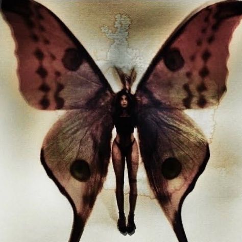 Dana Trippe, Papillon Butterfly, Mazzy Star, Fairy Aesthetic, Dark Fairy, Arte Obscura, Arte Inspo, Goth Aesthetic, No Credit