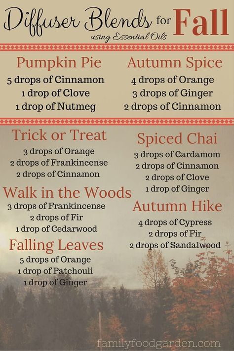 8 Essential Oil Diffuser Blends That Are Perfect For Fall Best Smelling Essential Oils, Recipes Autumn, Fall Essential Oil Blends, Fall Smells, Fall Essential Oils, Fall Diffuser Blends, Doterra Diffuser Blends, Essential Oil Diffuser Blends Recipes, Essential Oil Blends Recipes