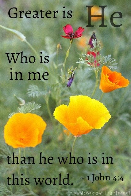 Greater Is He, A Bible Verse, A Course In Miracles, John 4, Love The Lord, Favorite Bible Verses, Faith Inspiration, Jesus Is Lord, 1 John