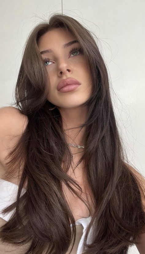 Types Of Brunette Hair Color, Brown Hair Women, Brunette Female, Rambut Brunette, Flot Makeup, Brown Hair Looks, Brown Hair Inspo, Vlasové Trendy, Hairstyles For Layered Hair