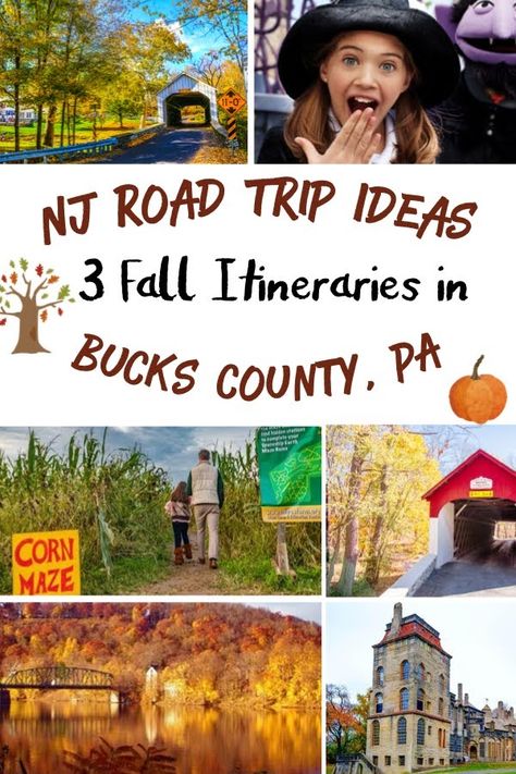 Day Trips In Pa, Fall Foliage Trips, Bucks County Pennsylvania, Apple Festival, Road Trip Ideas, Independent Study, Fall Road Trip, Bucks County Pa, Wine Trail