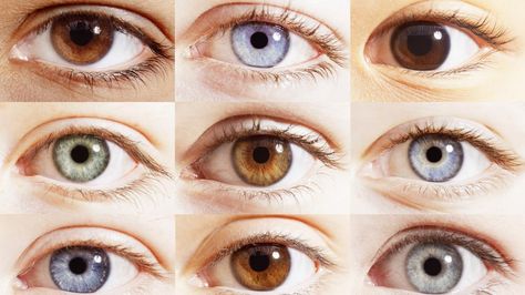 The color part of the eye is called iris. It is an allusion to the Greek goddess Iris because of its variety of colors Rare Eye Colors, Eye Color Chart, Rare Eyes, Change Your Eye Color, Eye Facts, Alluka Zoldyck, Blue Green Eyes, Types Of Eyes, Extreme Close Up