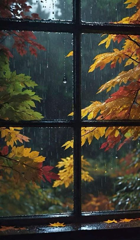 Late Summer Wallpaper, Rainy Day Wallpaper, Outside Aesthetic, Aesthetic Exterior, Rainy Window, Rainy Wallpaper, Trees Autumn, Window Photography, Woman Character