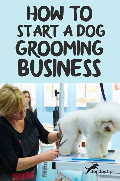 Grooming Salon Layout Ideas, Dog Grooming Business From Home, Dog Grooming Training, Grooming Dogs Salon Design, Dog Grooming 101, How To Start A Pet Grooming Business, Grooming Tips For Dogs, Opening A Grooming Salon, Dog Grooming Tools Professional