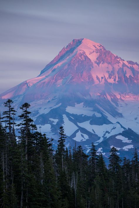 Mountain Landscape Photography, Background Phone, Mt Hood, Pretty Landscapes, Glacier National, Glacier National Park, Nature Aesthetic, Pretty Places, Mountain Landscape