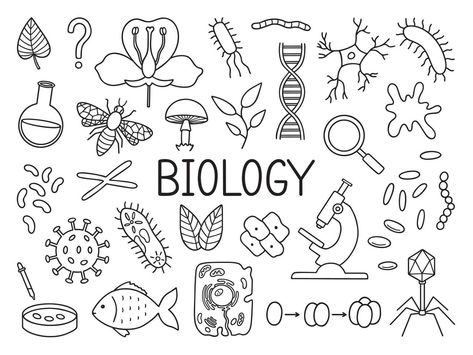 Biology doodle set. Education and study concept. School equipment, viruses, bacteria in sketch style. Hand drawn vector illustration isolated on white background Biology Doodles, Biology Drawing, Instagram Username Ideas, Biology Art, Drawing Template, Lino Art, Hand Drawn Vector Illustrations, Doodle Coloring, Easy Drawings Sketches