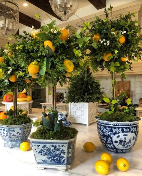 Fruit Aesthetic, Tattoo Plant, Pretty Houses, Lemon Trees, The Enchanted Home, Blue White Decor, Gardens Design, Enchanted Home, Lemon Decor