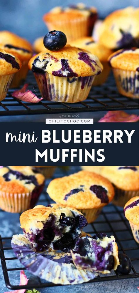 These delicious homemade mini blueberry muffins are perfect for breakfast, snack or dessert. And it’s a super easy, make-ahead recipe! Frozen Blueberry Muffins, Mini Blueberry Muffins, Breakfast Kids, Homemade Blueberry Muffins, Double Chocolate Muffins, Berry Muffins, Lemon Blueberry Muffins, Homemade Muffins, Muffin Recipes Blueberry