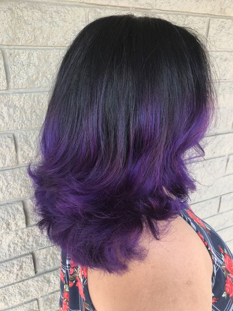 Hair Color Black And Purple, Black Fade Into Purple Hair, Short Hair With Purple Ends, Black Fading Into Purple Hair, Black Roots With Purple Hair, Dark Purple Ends Hair, Purple Highlights In Dark Brown Hair, Royal Purple Hair Color, Purple Hair Highlights Wolfcut