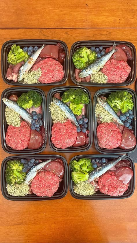 Meals For Puppies, Puppy Meal Prep, Ground Beef Recipes For Dogs, Raw Dog Food Meal Prep, Dog Meals Recipes, Healthy Dog Meals, 1 Week Meal Prep, Dog Meal Prep, Meal Prep For Dogs