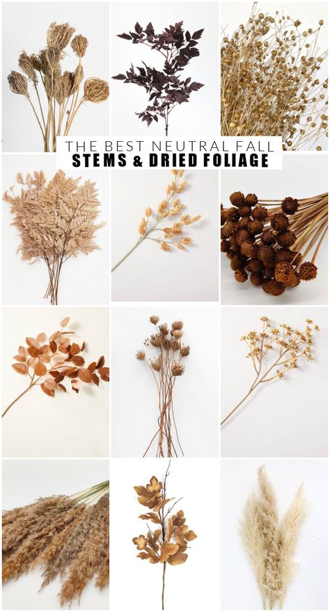 The best dried florals and neutral faux fall stems! #fallstems #fallflorals #falldecor #neutralfall #driedflorals #falldecorating #fauxfallstems Faux Dried Flowers, Fall Stem Arrangements, Faux Fall Flowers, Neutral Fall Garland, Dried Flowers Garland, Fall Stems Decor, Fall Foliage Arrangements, Neutral Fall Florals, Dried Fall Flowers