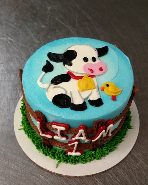 An adorable four inch birthday cake with hand piped cow, fence, and airbrush accents. Cow Sheet Cake, Cow Fence, Piping Ideas, Cow Birthday Cake, Smash Cake First Birthday, Farm Birthday Cakes, Cow Cake, Cow Cakes, Farm Theme Birthday