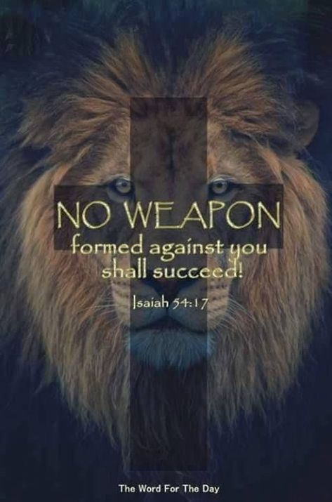 Lion Of Judah Jesus, Isaiah 54, Inspirational Quotes God, Warrior Quotes, Prayer Scriptures, Inspirational Bible Quotes, Bible Verses Quotes Inspirational, Biblical Quotes, Christian Quotes Inspirational