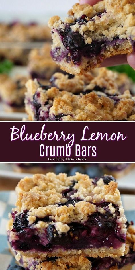 Blueberry Lemon Crumb Bars are super delicious, loaded with fresh blueberries and is a perfect summer dessert.  #dessertfoodrecipes #delicious #blueberries #homemade #greatgrubdelicioustreats Lemon Crumb Bars, Blueberry Crumb Bars, Blueberry Bars, Dessert Halloween, Crumb Bars, Dessert Parfait, Coconut Desserts, Blueberry Desserts, Blueberry Oatmeal