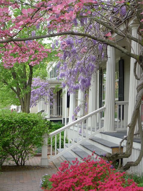 An Urban Cottage: April 2012 Southern Porches, Beautiful Exterior, Southern Plantations, Urban Cottage, Southern Life, Southern Homes, The Porch, Wisteria, Garden Arch