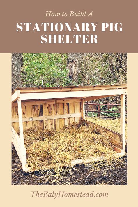 How to Build A Stationary Pig Shelter | The Ealy Homestead Pig Pens, Pig Shelter, Chicken Coop Designs Diy, Raising Pigs, Pig Pen, Pig House, Farm Day, Farm Plans, Cattle Farming