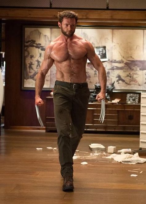 Hugh Jackman as Wolverine Apocalypse Movies, X-men Apocalypse, Wolverine Art, Men Bodies, Wolverine Hugh Jackman, Logan Wolverine, 남자 몸, Wolverine Marvel, Next Film