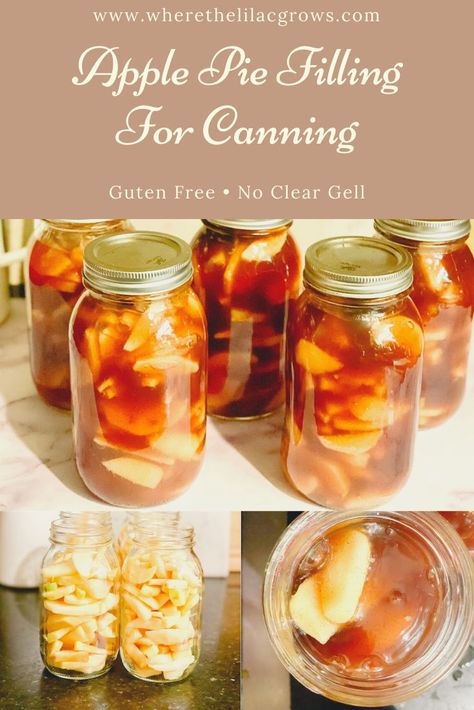 This apple pie filling is so delicious! It will make your holiday's so easy! You will be so glad you made this amazing apple pie filling that's gluten free and free of clear gel! #applepiefilling #applepierecipe #piefilling #canningapples #appleharvest #foodpreservation #applepiefillingrecipe #glutenfree #veganpie #veganapplepie #glutenfreeveganapplepie #glutenfreeveganpierecipe Canning Recipes Apple Pie Filling, Canning Apple Pie Filling With Cornstarch, Preserving Apple Pie Filling, Canned Apple Pie Filling Recipes Without Clear Gel, Canning Apple Pie Filling With Tapioca, Canned Apple Pie Filling Without Clear Gel, Best Canned Apple Pie Filling, Caramel Apple Pie Filling Canned, Apple Pie Recipe For Canning