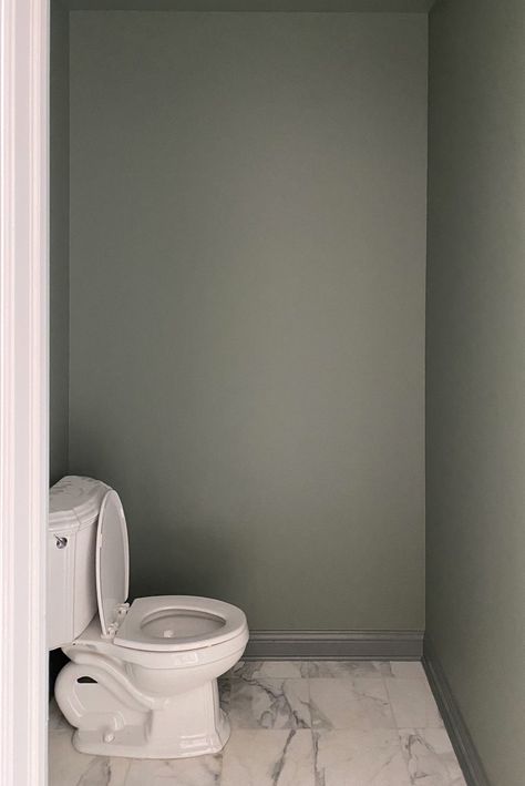 Creating A Moody Powder Bathroom: Progress Photos & A Mini Reveal! - Sw Retreat Bathroom, Powder Room Pedestal Sink Ideas, Green Powder Bathroom, Dark Walls Bathroom, Moody Powder Bathroom, Dark Moody Powder Room, Bathroom For Guests, Pedestal Sink Ideas, Powder Room Pedestal Sink