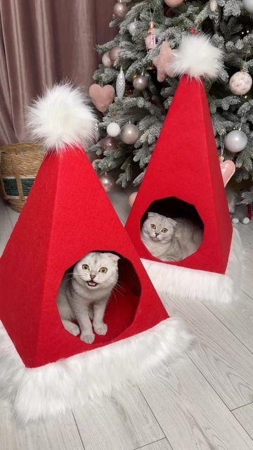 Christmas For Cats, Cat Friendly Christmas Decorations, Christmas Cat House, Christmas Presents For Cats, Vintage Santa Art, Xmas Decorations Diy, Cardboard Cat House, Homemade Cat Toys, Diy Cat Tree