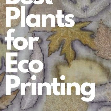 Ecoprint Paper, Eco Printing Tutorial, Eco Printing Textiles, Leaf Dyeing, Diy Tie Dye Techniques, Fabric Dyeing Techniques, Fabric Painting Techniques, Eco Dyeing, Best Plants