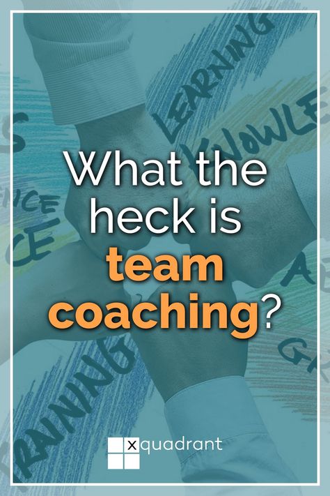 How team coaching compares with team building, one-to-one coaching, and team facilitation #Xquadrant #Blog # Leader #Leadership #Team #LeadershipTeam #LeadershipDevelopment #TeamCoaching Leading A Team, Team Development, Team Coaching, Executive Coaching, What The Heck, Leadership Development, Team Building, Teamwork, A Team