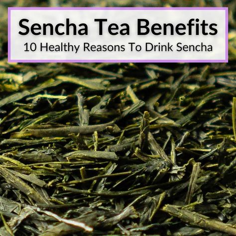 All ten of the sencha tea benefits listed below have some scientific evidence to support them, though more study is needed. The most important factor in... Sencha Green Tea Benefits, Tea Guide, Sencha Tea, Regular Bowel Movements, Green Tea Benefits, Tea Benefits, Regulate Blood Sugar, Digestive Health, Get Healthy