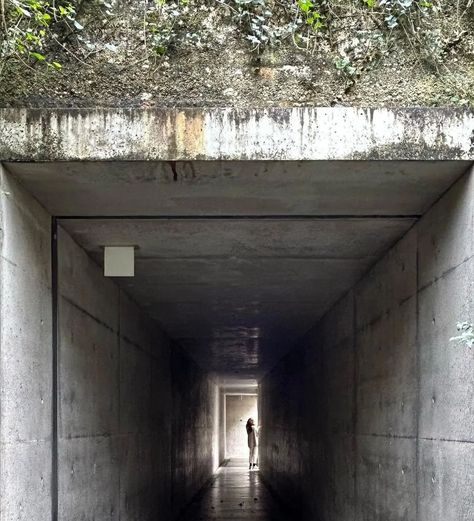 CHICHU ART MUSEUM by Tadao Ando . Our brand: @oatgrey @OATGREYSTUDIOS _______________________________________________ #oatgrey #oatgreystudios #chichu #chichuartmuseum #architecture #artmuseum #design #designarchitecture #naoshima #japan Chichu Art Museum, Tadao Ando, Studio S, Art Museum, Architecture Design, Forest, Japan, Architecture, Grey