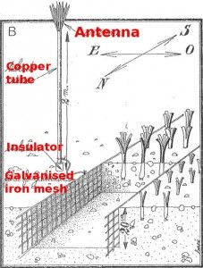 Telluric Currents, Giant Vegetable, Copper Diy, Kuantan, Galvanized Iron, Vegetable Garden Design, Healthy Vegetables, Sustainable Energy, Free Energy