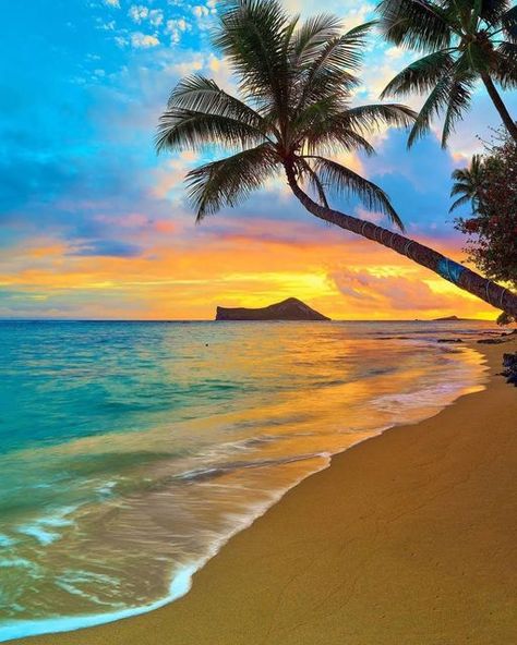 Hawaii Beach Photos, Hawaii Landscape, Summer Beach Pictures, Mouse Art, Best Cameras, Visit Hawaii, Beautiful Scenery Pictures, Ocean Pictures, Paint Night