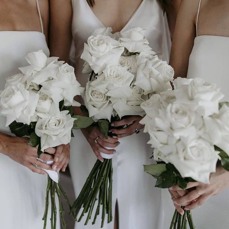 THE BRIDE LAB on Instagram: “Classic white roses 💕  Bouquets by @wildernessflowers_  #roses #bouquet #weddinginspo” Hera Couture, Elegant Wedding Bouquets, Greenery Wedding Bouquet, White Rose Bouquet, White Roses Wedding, 2025 Wedding, Summer Wedding Bouquets, Simple Elegant Wedding, Wedding Cakes Blue