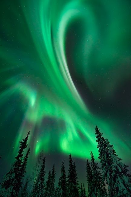 59 Pictures of the Northern Lights and Aurora Australis ... Northern Lights Finland, Northern Lights (aurora Borealis), Aurora Borealis Northern Lights, Beautiful Sky, Green Aesthetic, Aurora Borealis, Belle Photo, Beautiful World, Night Skies