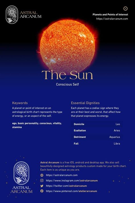 Sun In Astrology Meaning, Witch Numerology, Sun Sign Meaning, Planet Astrology, Aquarius Sun Sign, Leo Sun Sign, About Zodiac Signs, Zodiac Moon, Birth Charts