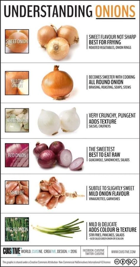 Types Of Onions, Food Infographic, Cooking 101, Food Charts, Food Info, Cooking Basics, Food Facts, Veggie Dishes, Interesting Food Recipes