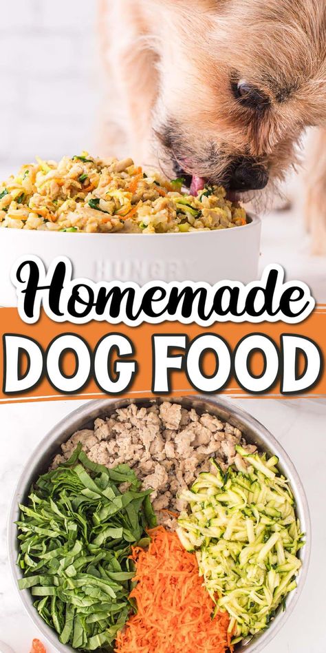 Home Cooked Dog Food, Healthy Dog Food, Cook Dog Food, Diy Dog Food, Make Dog Food, Dessert Simple, Food Dog, Raw Dog Food Recipes, Dog Nutrition