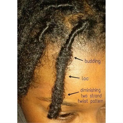 Loc Budding Stage, Beginner Locs For Women, Stages Of Locs, How To Start Dreadlocks, Dreads Short Hair, Short Dreadlocks Styles, Dreadlock Hairstyles For Men, Beautiful Dreadlocks, Short Locs Hairstyles