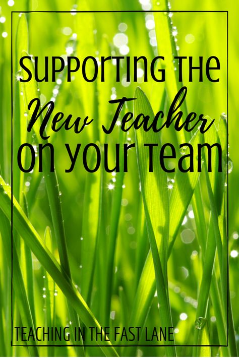 Teacher Leadership, Planning School, Team Teaching, Lead Teacher, Teacher Leader, Mentor Program, Teacher Support, Teaching Teachers, Teacher Team