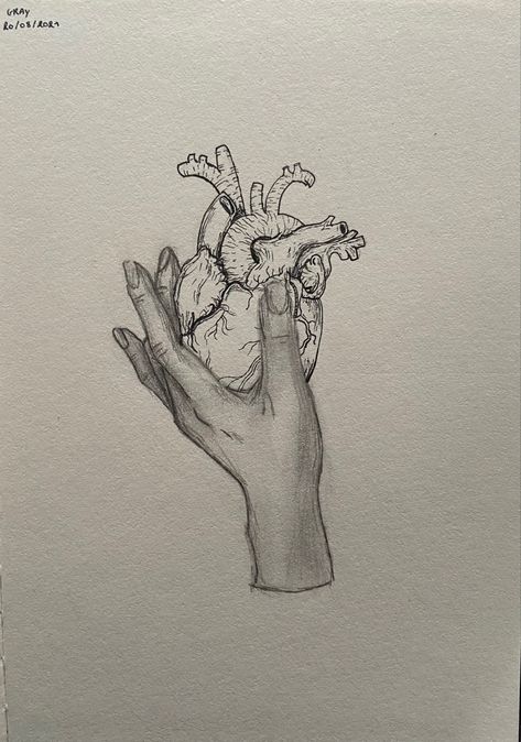 Giving Someone Your Heart Drawing, Skeleton Holding Heart Tattoo, Aesthetic Heart Sketch, Hand Holding A Heart Tattoo, Hand Holding Anatomical Heart, Hands Holding Heart Drawing, Hand And Heart Drawing, Human Heart Drawing Aesthetic, Giving Heart Drawing