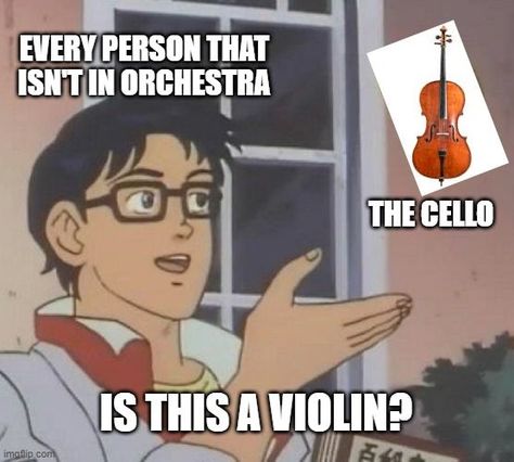 #orchestrahumour #memes #bandmemes #musicmemes #orchestramemes #twosetviolin #musicmemesdaily #viola #violin #bass #piano #cello #cellomemes #pianomemes #violamemes #violinmemes #brass #woodwind #strings #guitar #guitarmemes #trumpet #flute #jazzmemes #orchestra #music Orchestra Jokes Cello, Violin Memes Funny, Orchestra Humor Cellos, Orchestra Memes Cello, Orchestra Humor Violin, Orchestra Memes Funny, Cello Humor, Cello Jokes, Violin Humor