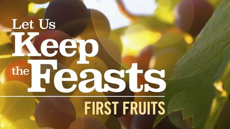 This is part 6 in the Bible study series: Let Us Keep the Feasts. Is it possible that God is only dealing with a few people today? There is a huge spiritual harvest to come, but what does the Biblical Festival of Pentecost tell us about the plan of God? God uses the representation of the harvest of firstfruits to make a powerful point as to the deep meaning of His purpose. In this study we’ll discuss the details of what exactly is a firstfruit and what responsibilities does it carry? Join us for Biblical Diet, Jesus Christ Resurrection, What Are Sins, Feast Of Unleavened Bread, Unleavened Bread, Feasts Of The Lord, Sabbath Rest, Feast Of Tabernacles, Bible Study Tools