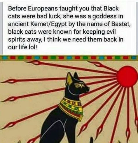 Black cats were considered lucky Beginners Spirituality, Kemetic Spirituality, Kemet Egypt, Egyptian Cat, African Spirituality, Egyptian History, Ancient Knowledge, Bad Luck, Cat Facts