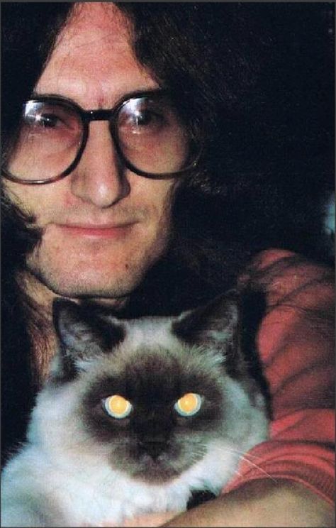 Geddy Lee Not quite a tabby. Rush Geddy Lee, Rock Pets, Legend Cat, A Farewell To Kings, Rush Concert, Geddy Lee, Rush Band, Best Rock Bands, Champions Of The World