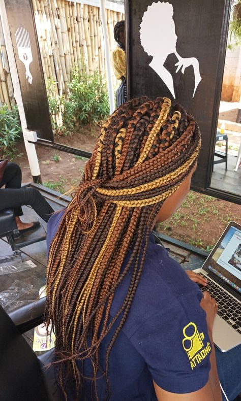 Uzuri tricolor box braids Tricolor Knotless Braids, Tri Color Braids, Multicolored Braids Black Women, Fall Color Box Braids Black Women, Box Braids With Different Colors, Multicolored Box Braids, Calico Box Braids, Multicolor Box Braids, Fall Color Box Braids