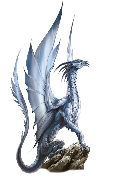 Ancient Silver Dragon, Dragon Inspiration, Tato Naga, Dragon Riders, Types Of Dragons, Broken Phone, Creature Fantasy, Ancient Dragon, Dragon Artwork Fantasy