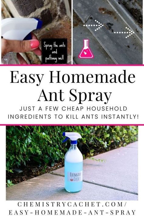 Any Spray Diy, Ant Spray Diy Homemade Essential Oils, Diy Ant Spray Outdoor, Diy Any Killer Indoor, Ant Spray Diy Homemade How To Get Rid, Any Killer Diy, Natural Ant Killer For Home, Pet Safe Ant Killer Indoor, Diy Ant Spray Indoor