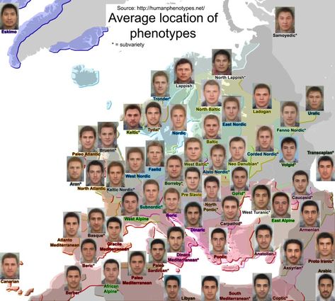 Human Phenotypes Mapped - Vivid Maps European Map, Face Anatomy, Geography Map, Baltic States, World Geography, Physical Features, Olive Skin, Cultural Identity, Europe Map