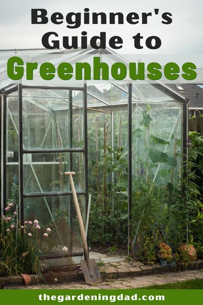 Are you interested in gardening in a greenhouse, but don't know where to start?  Then read Beginner's Guide to Greenhouses to learn more about the best greenhouses for your gardening needs.  #greenhouse #gardening #garden Small Greenhouse Kits, Diy Greenhouse Plans, Best Greenhouse, How To Garden, Hobby Greenhouse, Outdoor Greenhouse, Build A Greenhouse, Indoor Greenhouse, Home Greenhouse